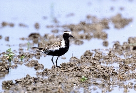 �ʐ^�F���i�O��