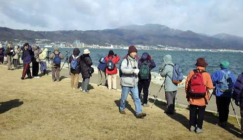 近江八景探鳥会