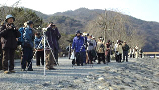嵐山探鳥会