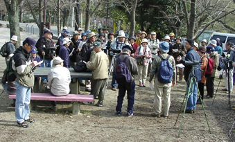 近江八景探鳥会