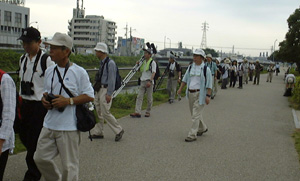 山科川探鳥会