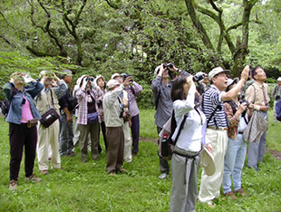 京都御所探鳥会