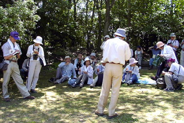 桂坂探鳥会
