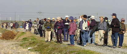 巨椋干拓田探鳥会