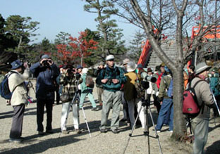 宇治川探鳥会B