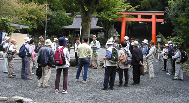 吉田山・黒谷探鳥会